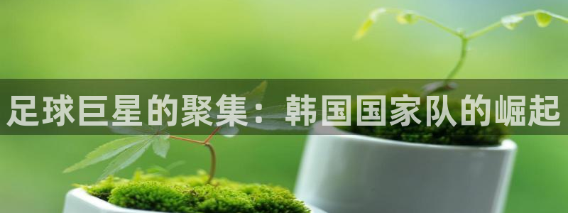 世界杯直播观看:足球巨星的聚集:韩国国家队的崛起