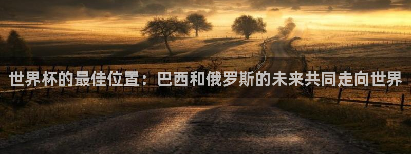 足球世界杯2026:世界杯的最佳位置:巴西和俄罗斯的未来共同走向世界