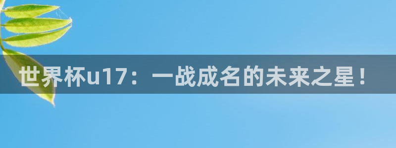 世界杯直播免费观看:世界杯u17:一战成名的未来之星!