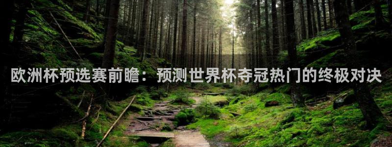 足球世预赛:欧洲杯预选赛前瞻:预测世界杯夺冠热门的终极对决