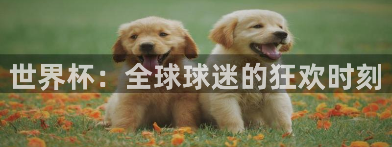 英格兰联赛杯直播:世界杯:全球球迷的狂欢时刻